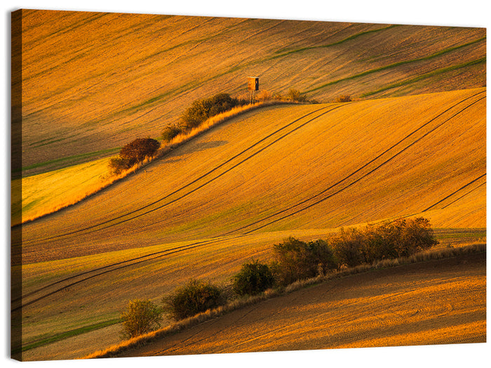 Golden Moravian Farm Tracks Wall Art as a canvas print