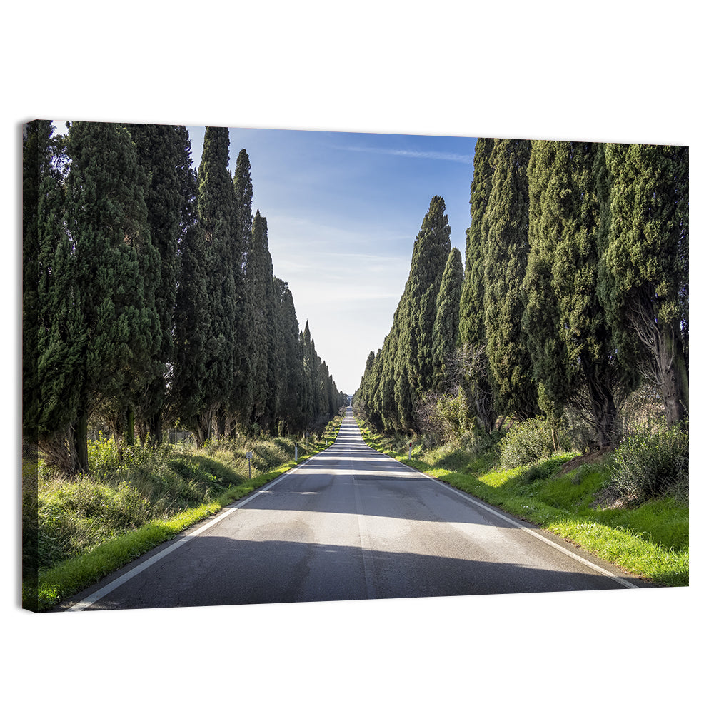 Avenue of Cypress Trees Wall Art, canvas print, landscape