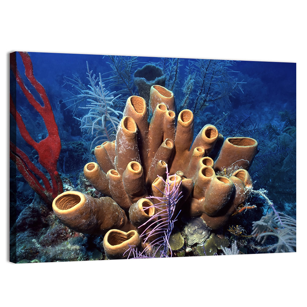 Belize Reef Sponge Scene Wall Art, canvas print, landscape
