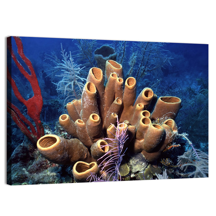 Belize Reef Sponge Scene Wall Art as a canvas print