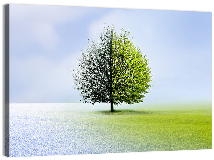 Winter to Spring Tree Wall Art as a canvas print