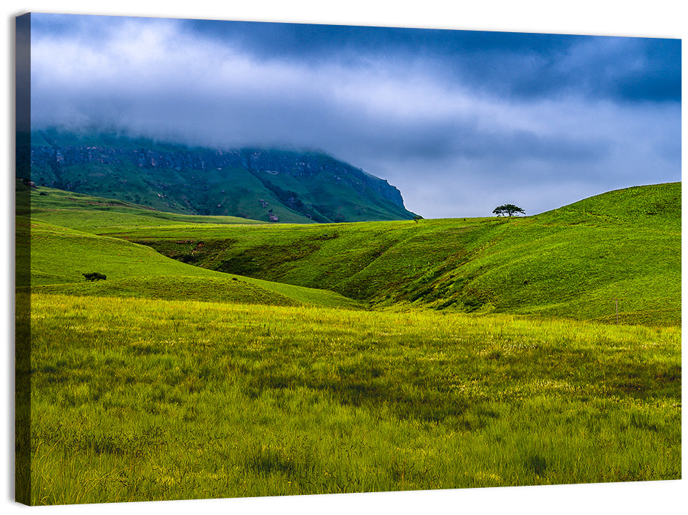 Dragon Mountains with Lone Tree Wall Art, canvas print, landscape