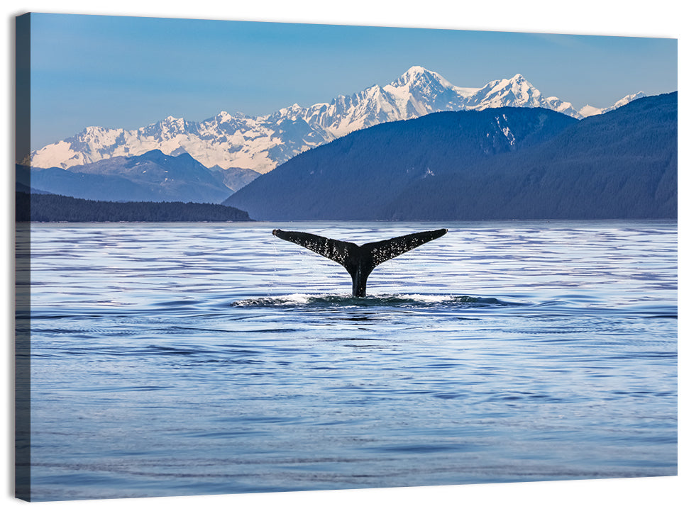 Alaska Whale Tail Wall Art, canvas print, landscape