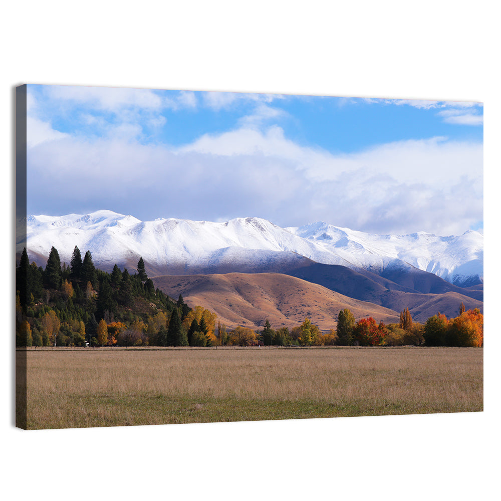 Ben Ohau Mountain Meadow Wall Art, canvas print, landscape