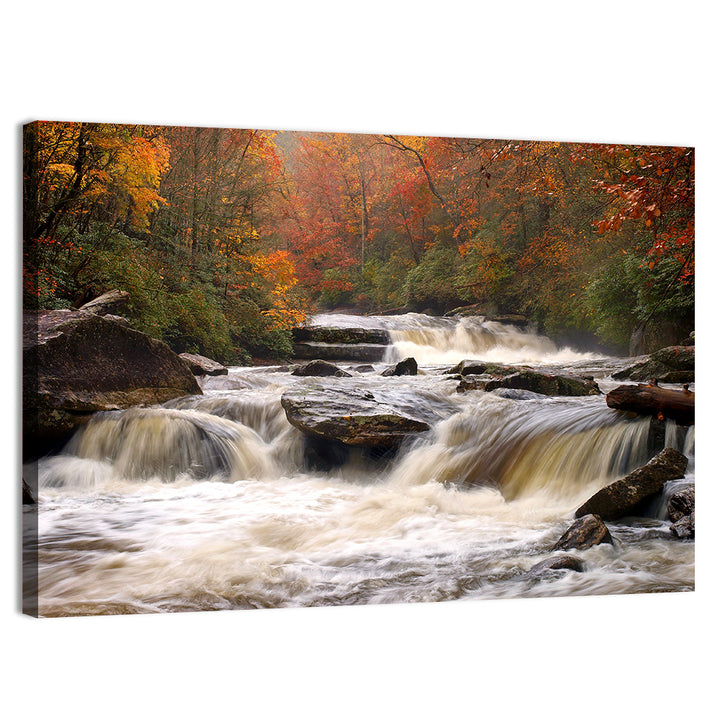 Carolina River in Autumn Wall Art