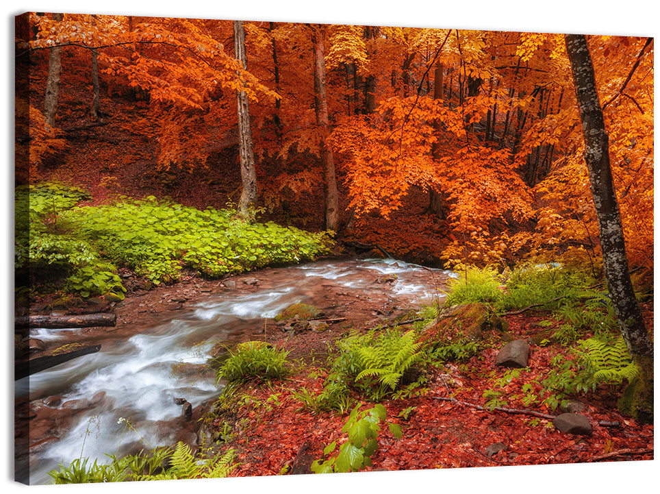 Autumn Forest Stream Wall Art, canvas print, landscape