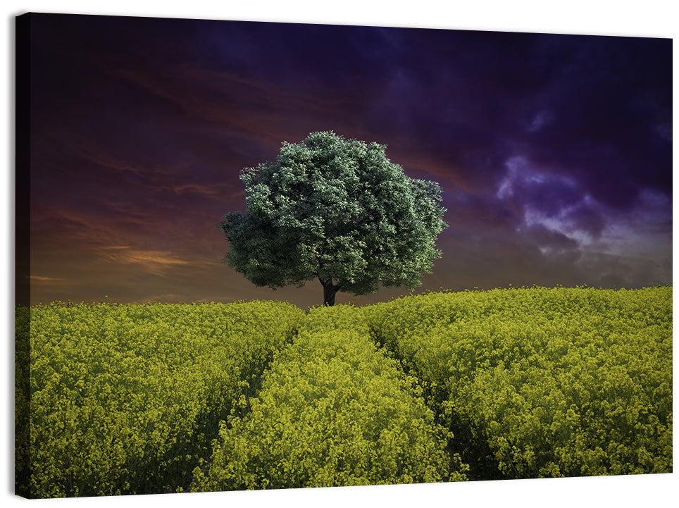 Solitary Tree in Yellow Field Wall Art, canvas print, landscape