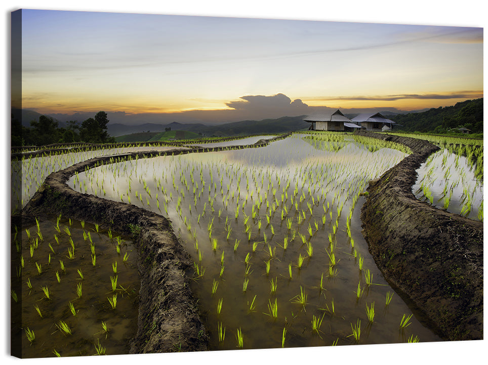 Pa Pong Peang Rice Terrace Wall Art, canvas print, landscape
