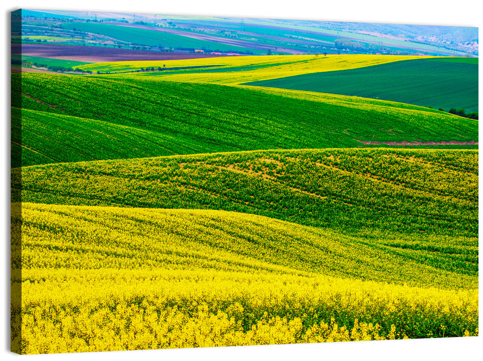 Spring Rapeseed Fields Wall Art, canvas print, landscape