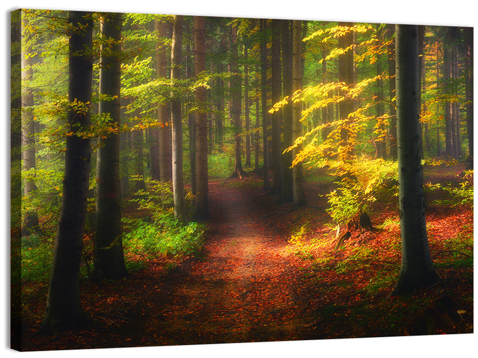 Autumn Forest Pathway Wall Art, canvas print, landscape