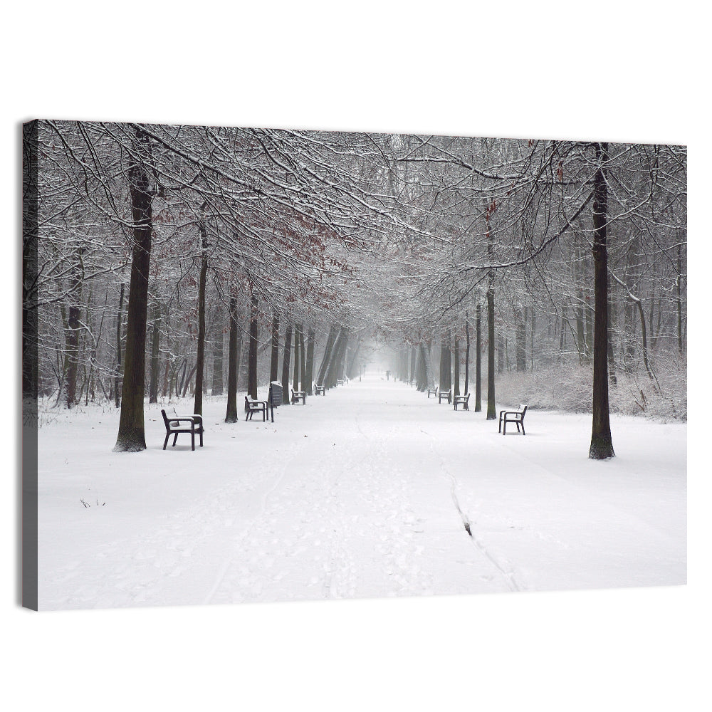 Snow Covered Park Lane Wall Art, canvas print, landscape