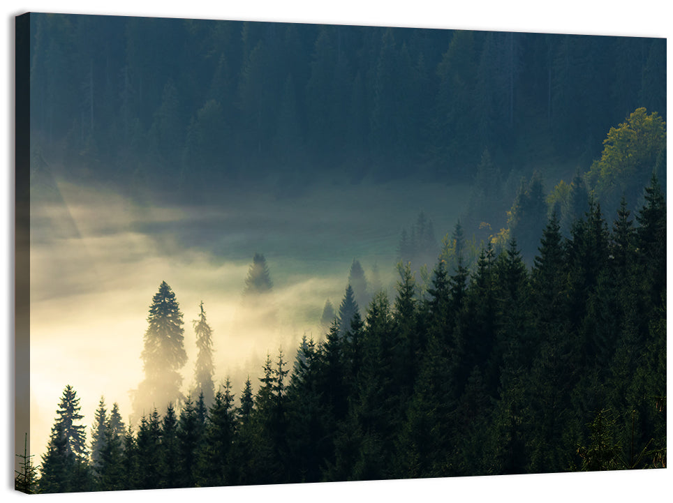 Conifer Valley Morning Mist Wall Art, canvas print, landscape