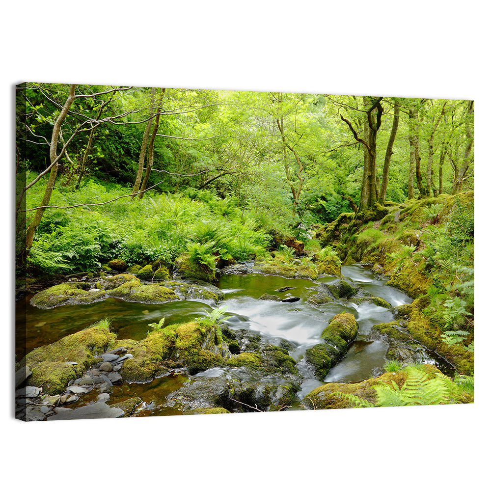 Mossy Stream Through Forest Wall Art, canvas print, landscape