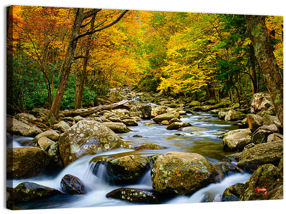 Autumn Stream Through Forest Wall Art, canvas print, landscape