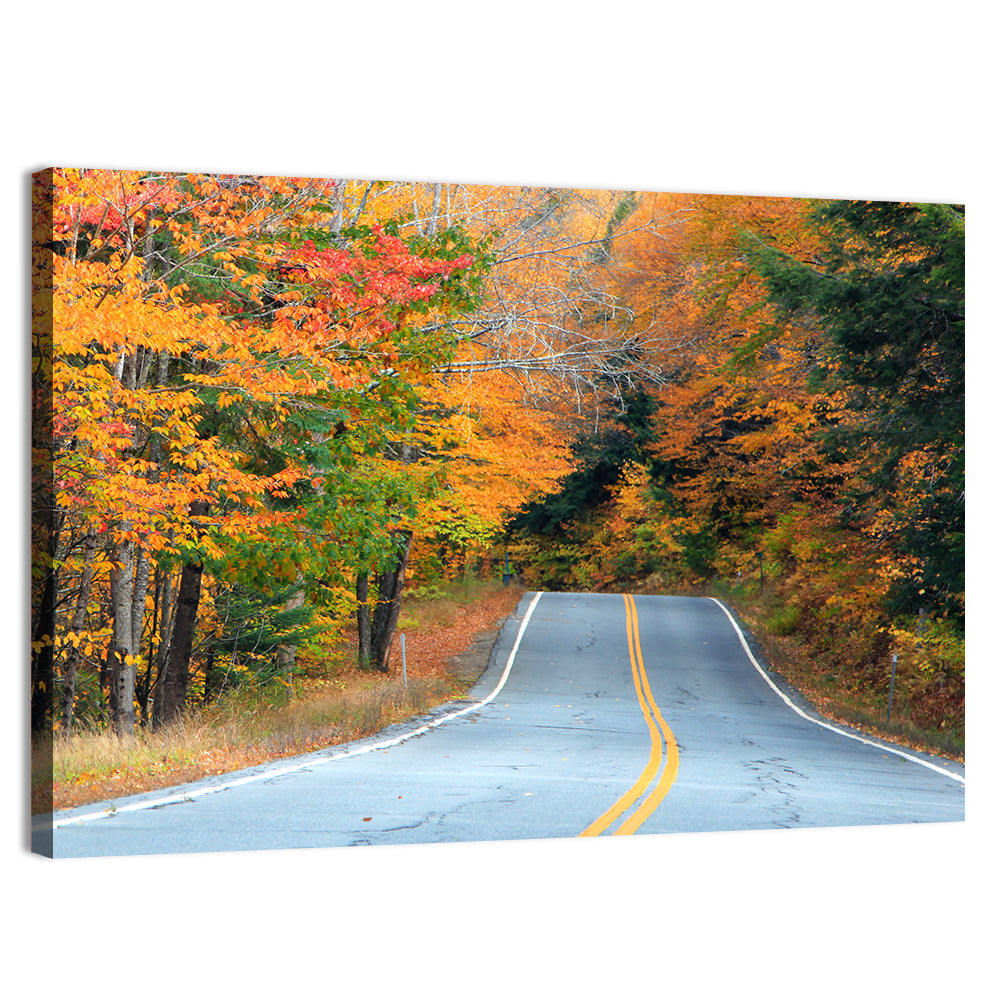 Autumn Road in New Hampshire Wall Art, canvas print, landscape