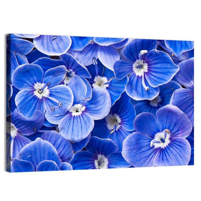Blue Wildflower Close-up Wall Art as a canvas print