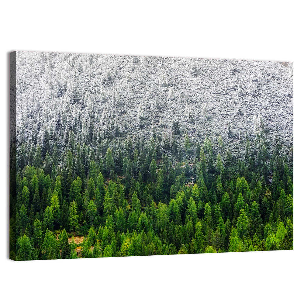 Snowy Dolomites Forest Wall Art, canvas print, landscape
