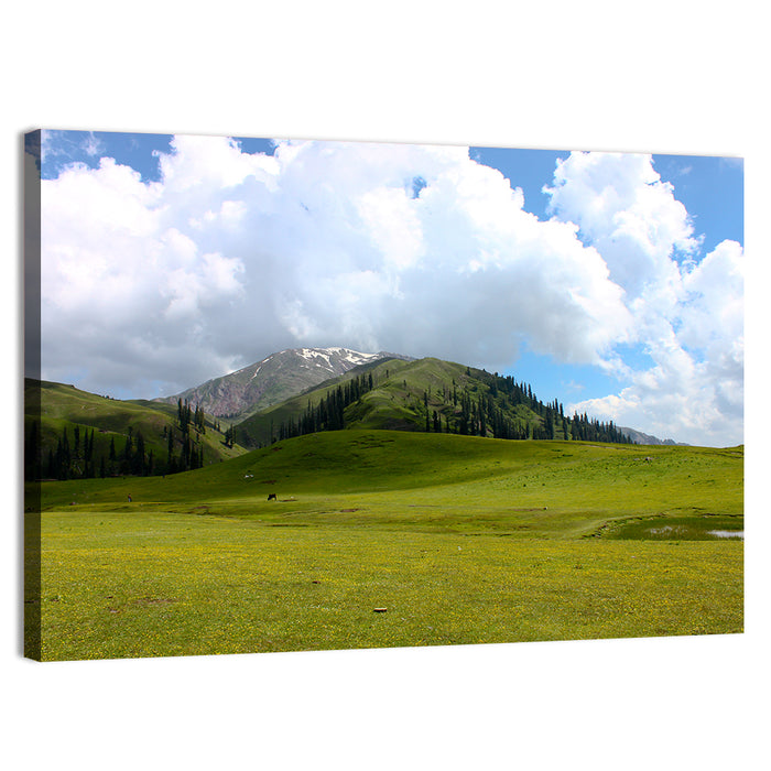 Seri Paya Mountain Meadow Wall Art as a canvas print