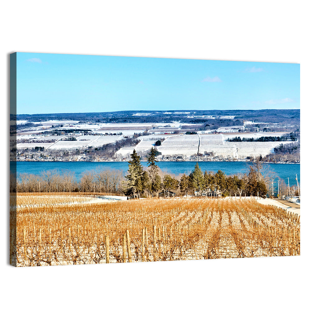 Seneca Lake Vineyard Wall Art, canvas print, landscape