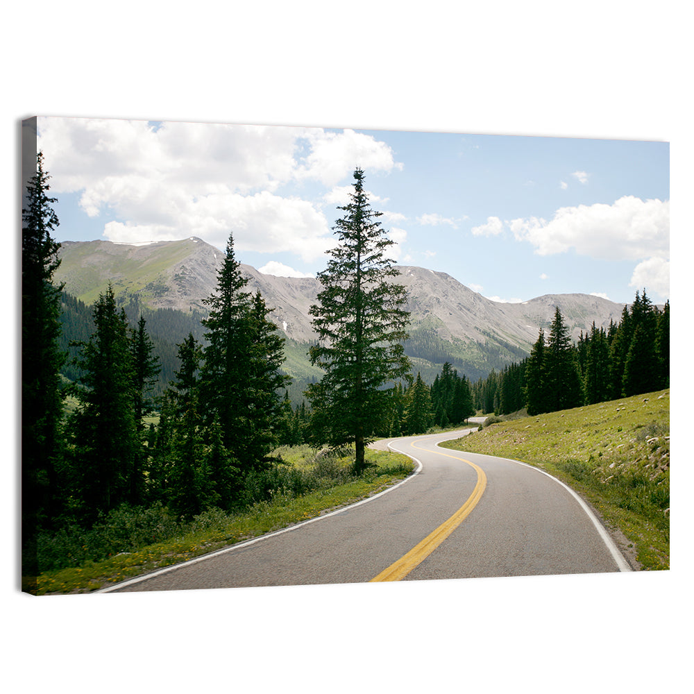 Colorado Mountain Road Wall Art, canvas print, landscape
