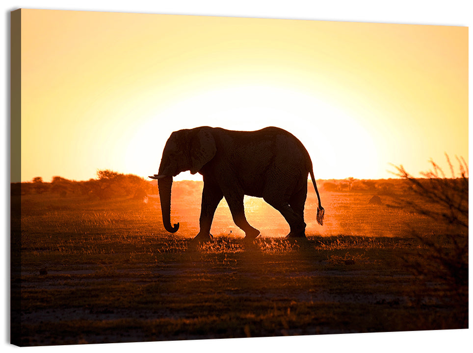 Golden Hour Elephant Silhouette Wall Art, canvas print, landscape