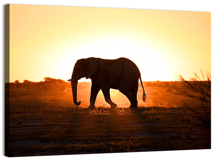 Golden Hour Elephant Silhouette Wall Art as a canvas print