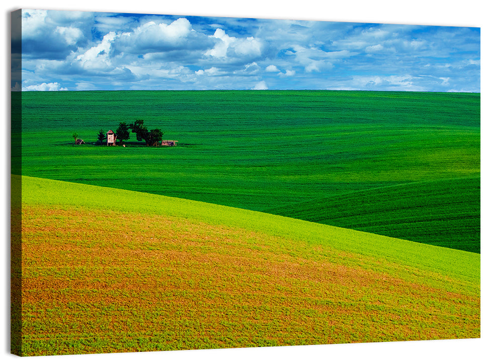 Golden Field and Green Hillside Wall Art, canvas print, landscape