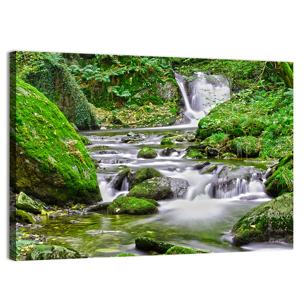 Mossy Forest Stream Wall Art, canvas print, landscape