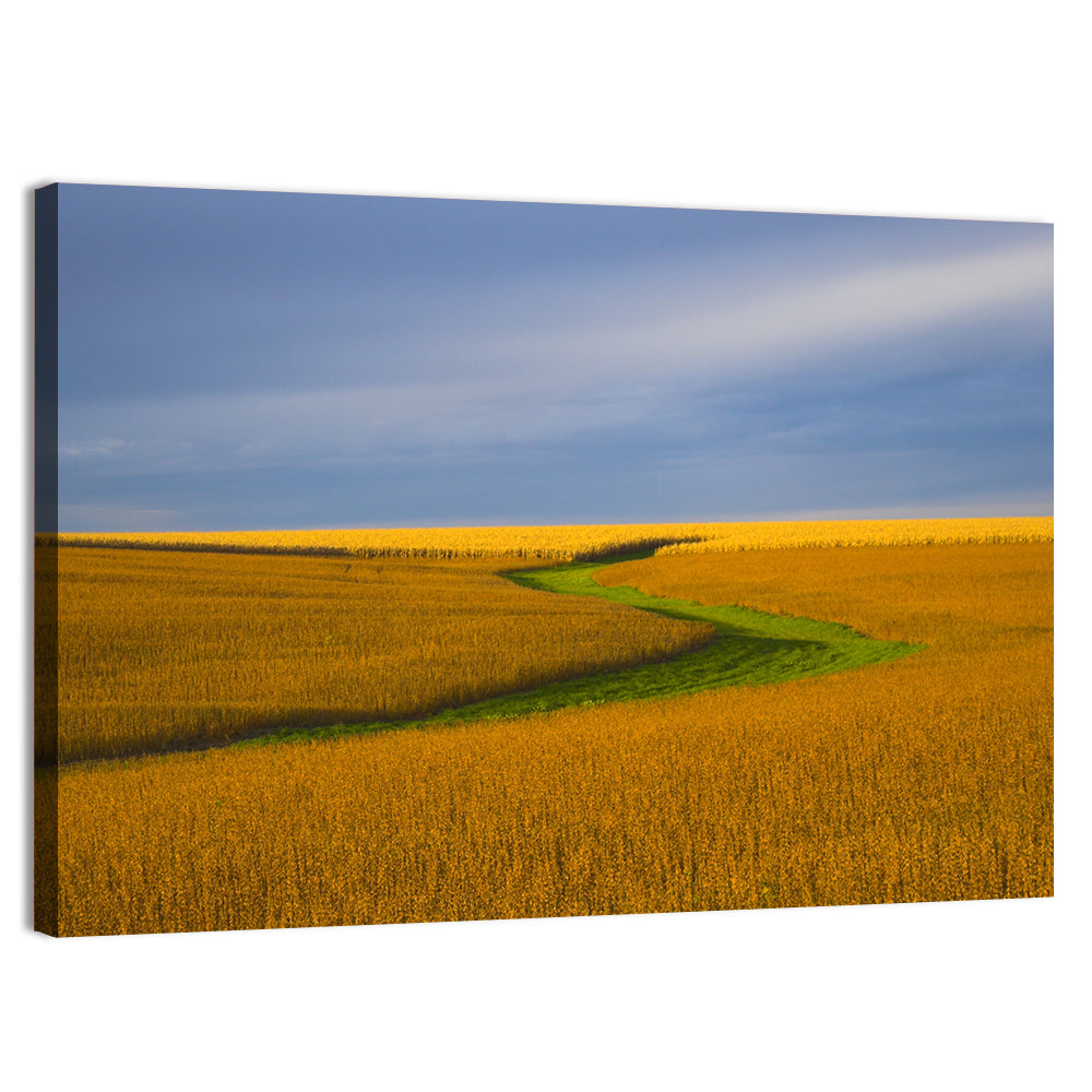 Golden Hour Soybean Field Wall Art, canvas print, landscape