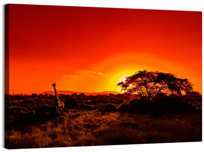 Savanna Sunset with Giraffe Wall Art as a canvas print