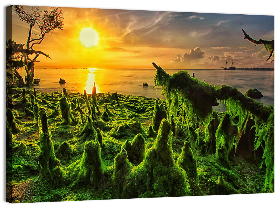 Mangrove Roots at Sunset Wall Art, canvas print, landscape