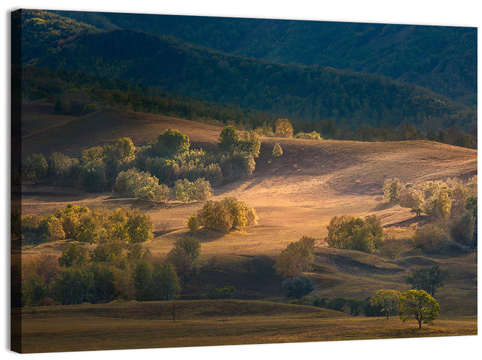 Bashang Plateau Golden Hour Wall Art as a canvas print