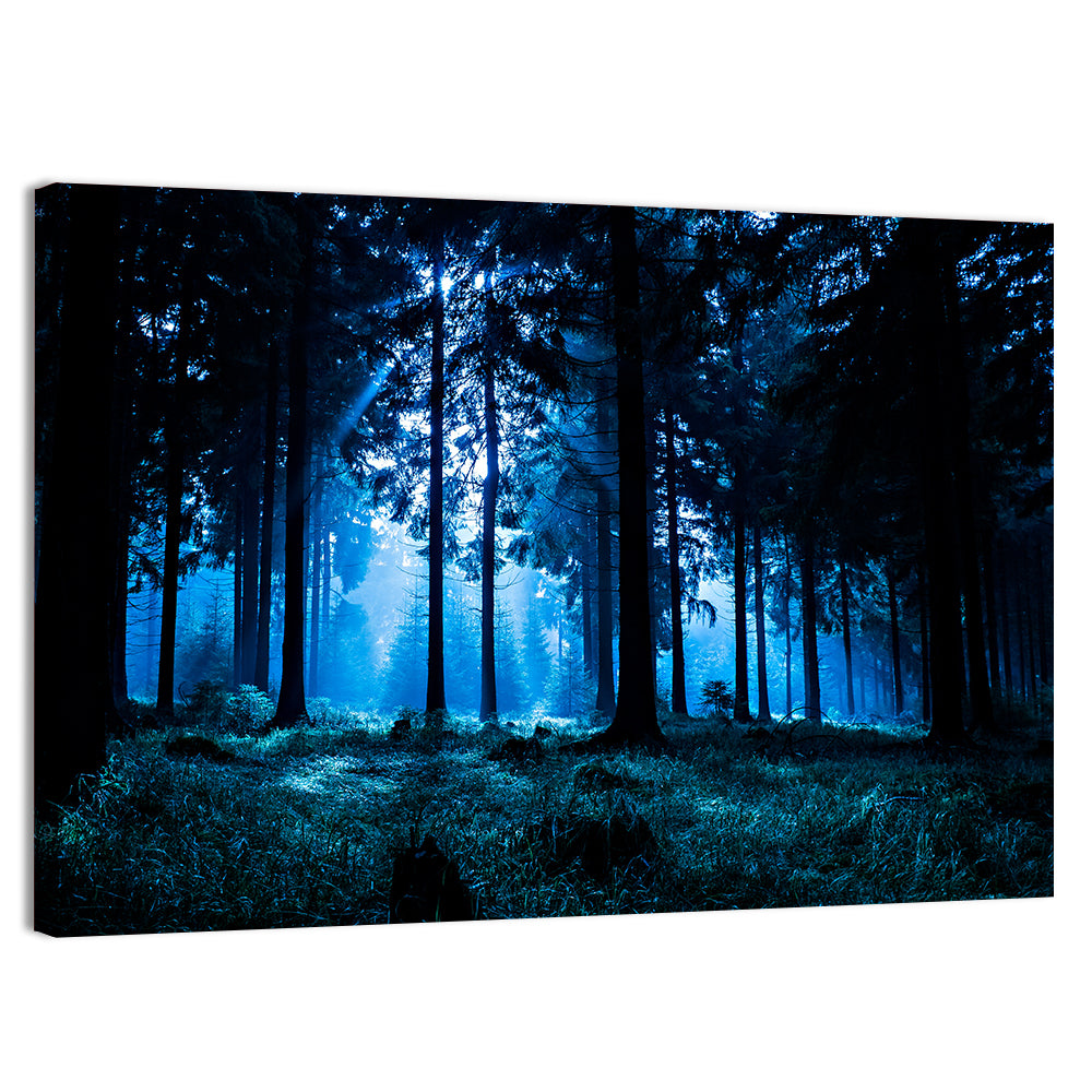 Thuringia Forest at Dusk Wall Art, canvas print, landscape