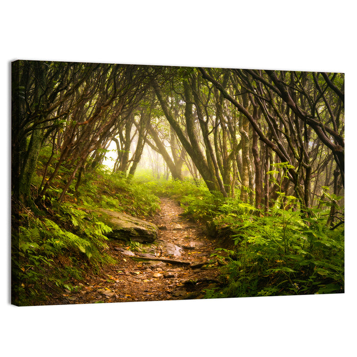 Craggy Gardens Hiking Trail Wall Art as a canvas print