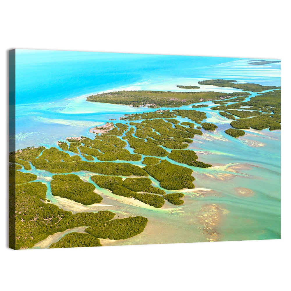 Florida Keys Mangrove Islands Wall Art, canvas print, landscape