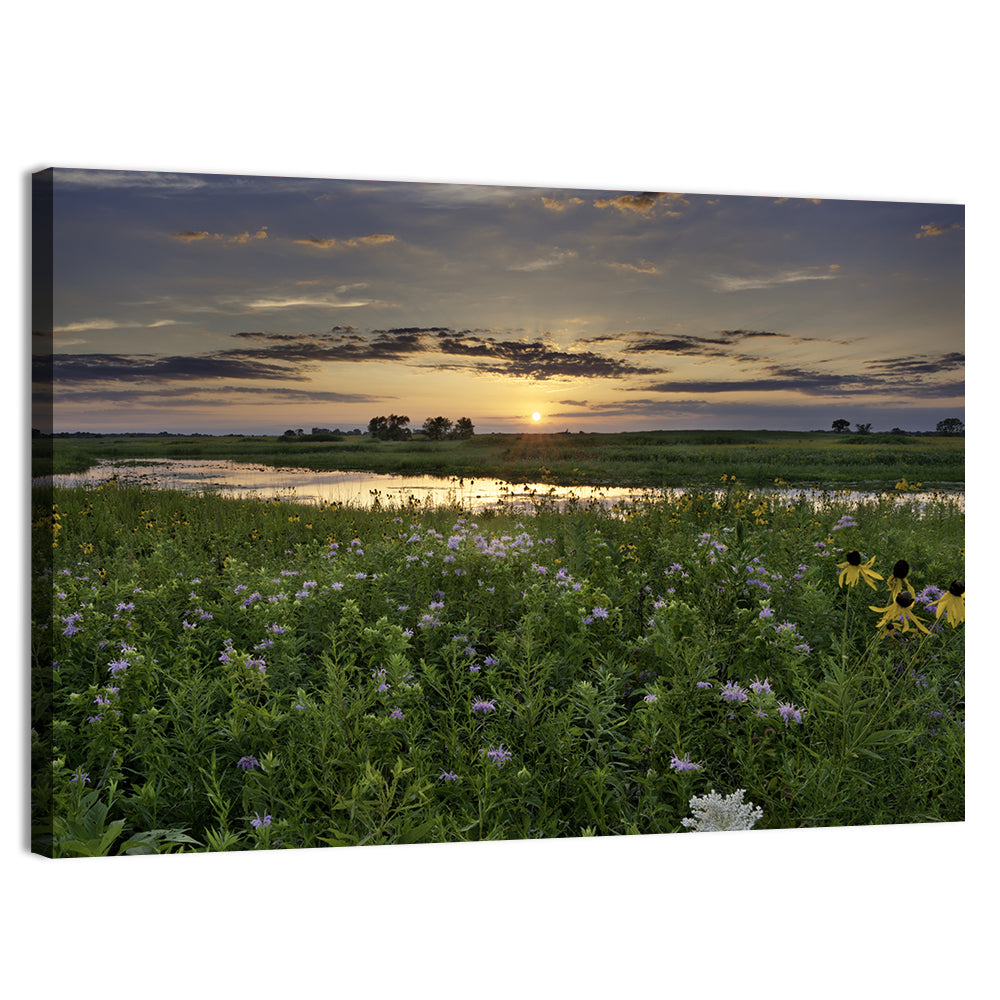 Illinois Fields Sunset Wall Art, canvas print, landscape