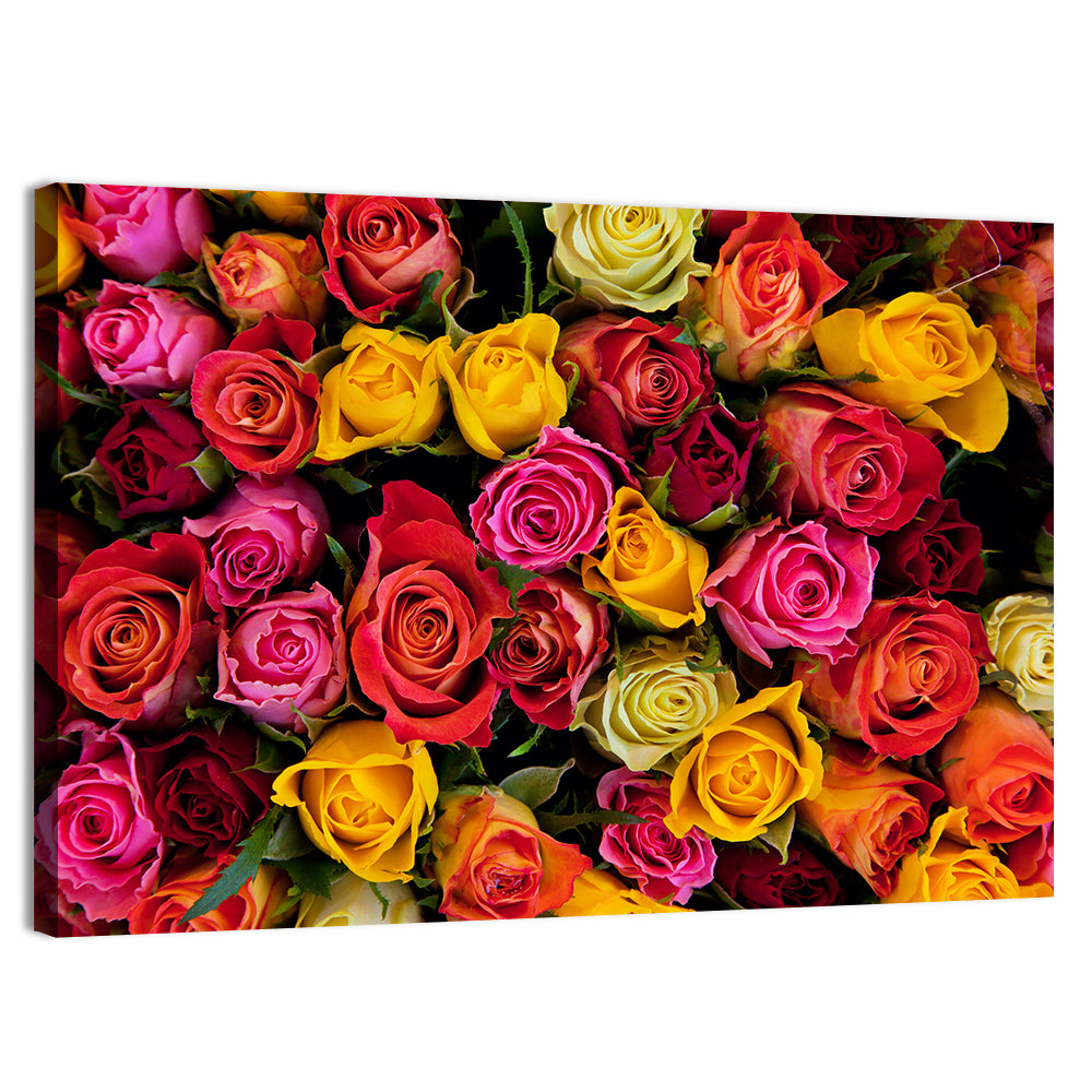 Multicolored Roses Close-up Wall Art, canvas print, landscape