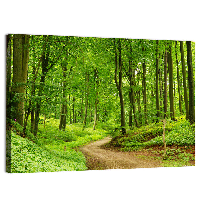 Sunlit Forest Path Wall Art as a canvas print