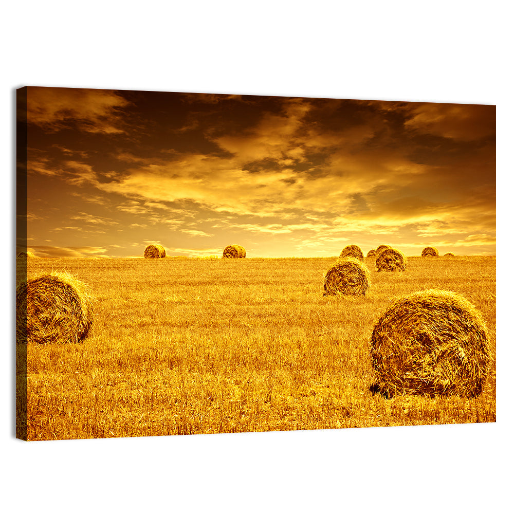Golden Hour Haystacks Wall Art, canvas print, landscape