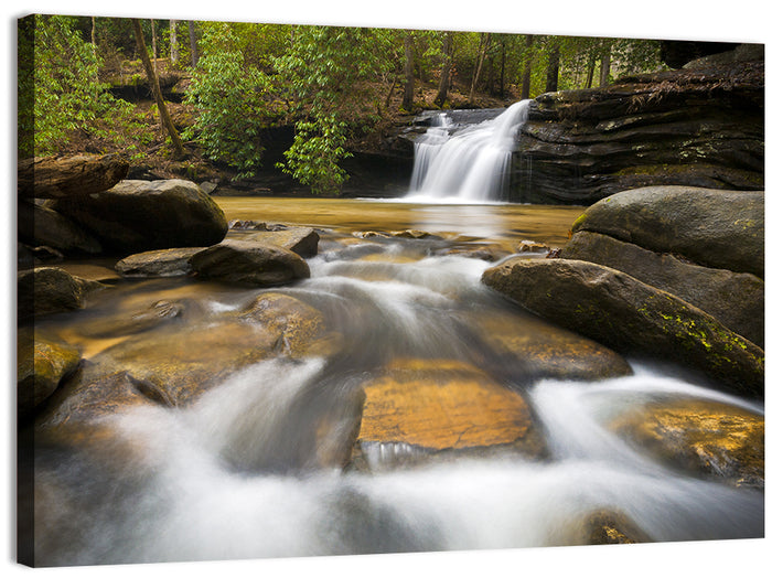 South Carolina Forest Waterfall Wall Art as a canvas print