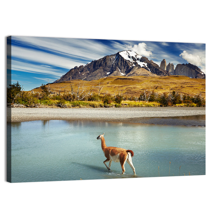 Torres Del Paine, Patagonia Wall Art as a canvas print