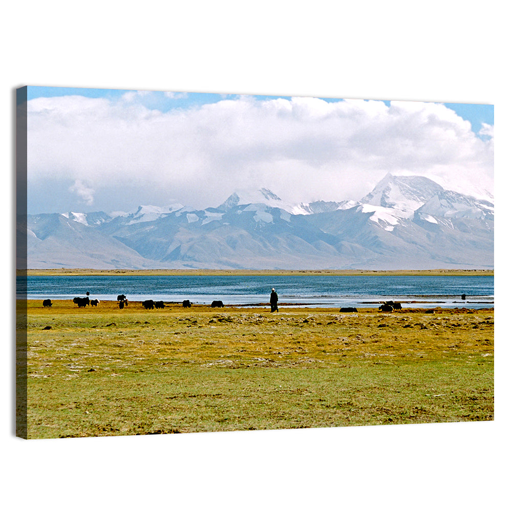 Mount Kailash from Lake Manasarovar Wall Art, canvas print, landscape