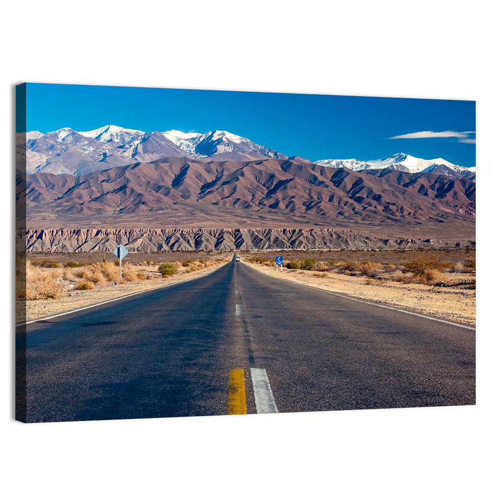 Northern Argentina Desert Road Wall Art, canvas print, landscape