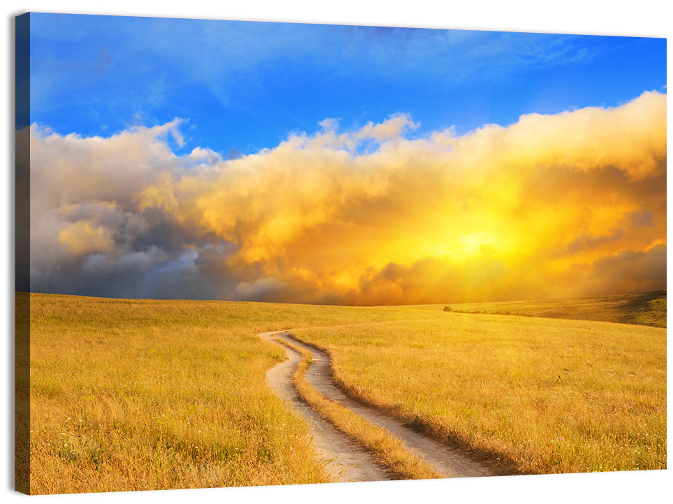 Sunlit Meadow Path with Dramatic Clouds Wall Art, canvas print, landscape