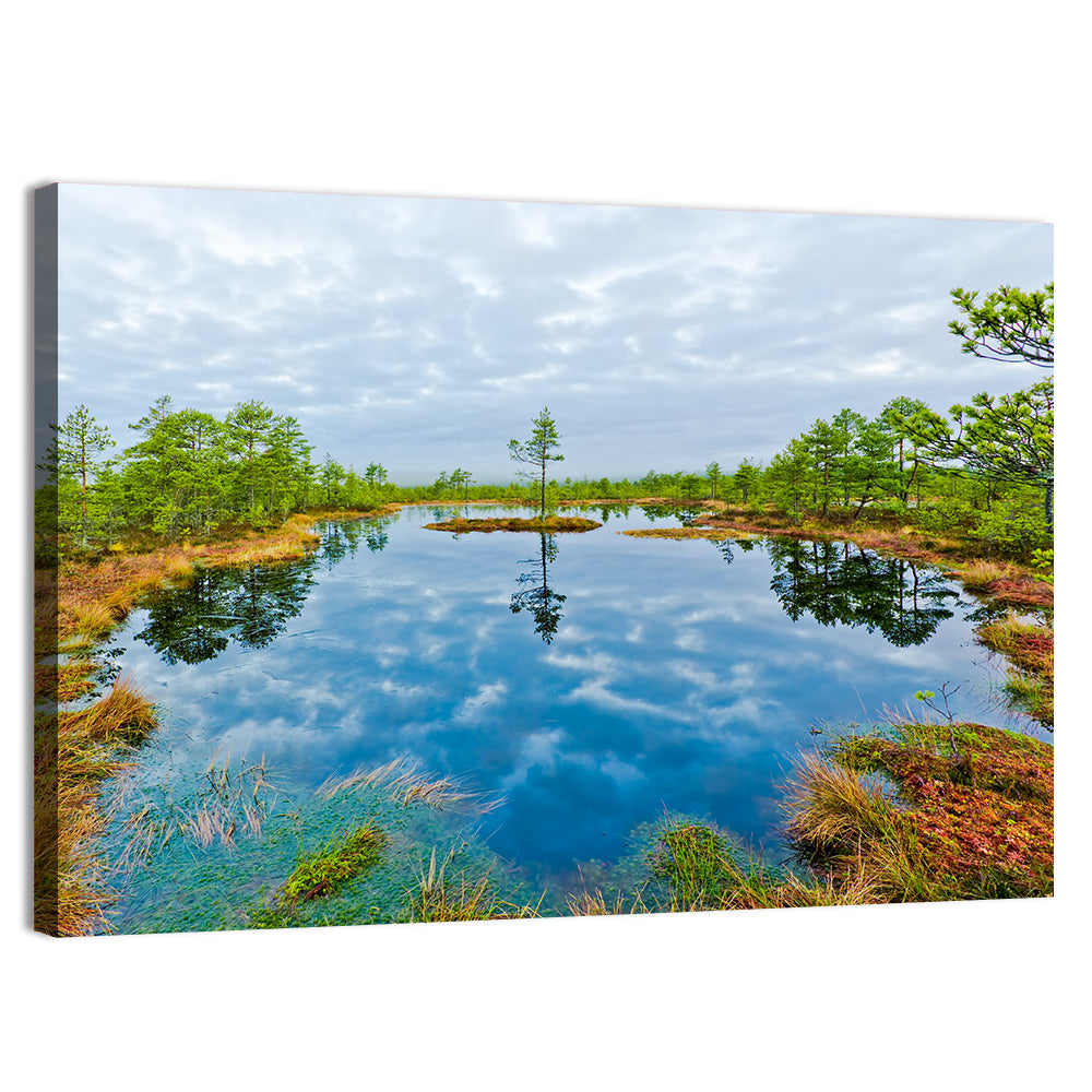 Viru Bog Reflections Wall Art, canvas print, landscape