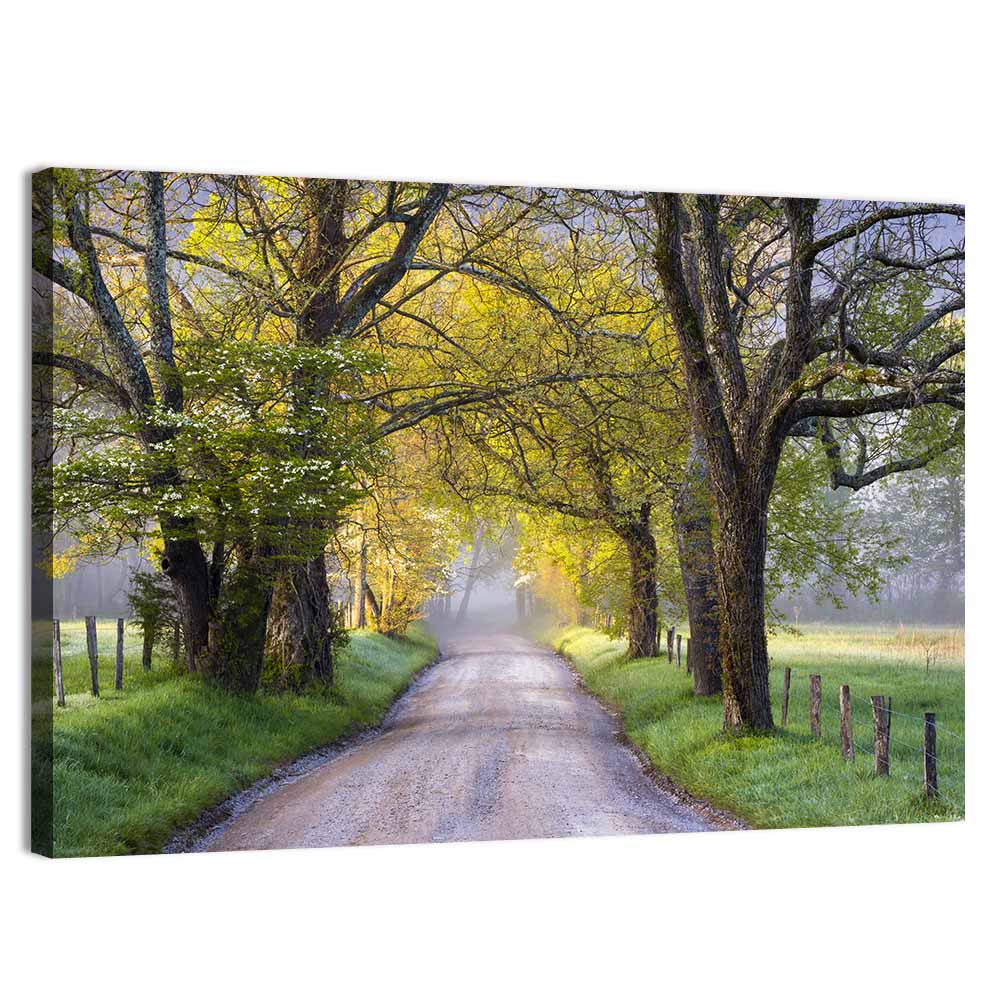 Sparks Lane, North Carolina Wall Art, canvas print, landscape