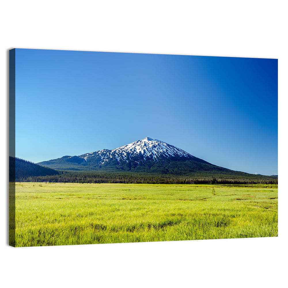 Mount Bachelor Wall Art, canvas print, landscape