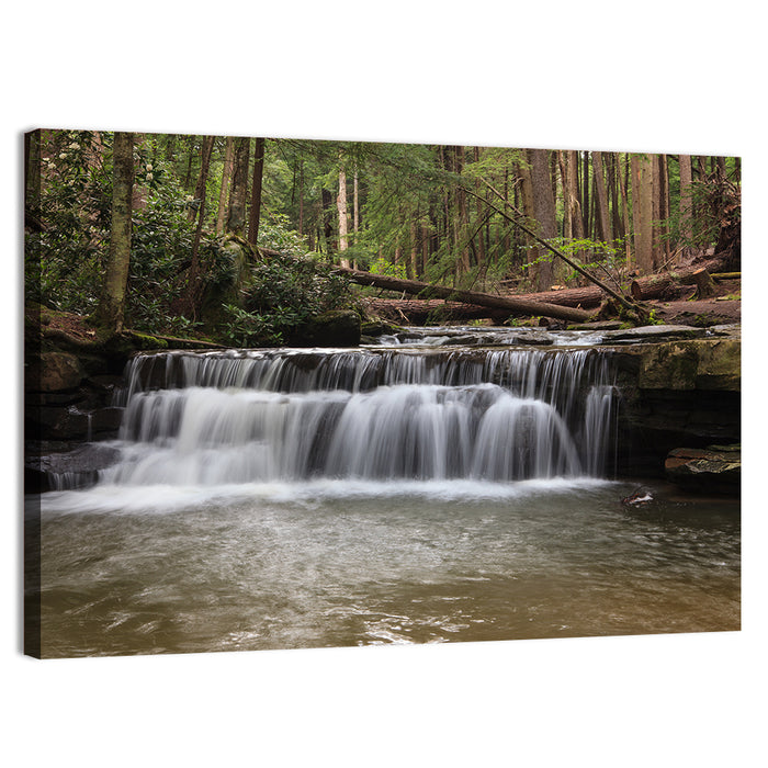 Tolliver Waterfall Wall Art as a canvas print