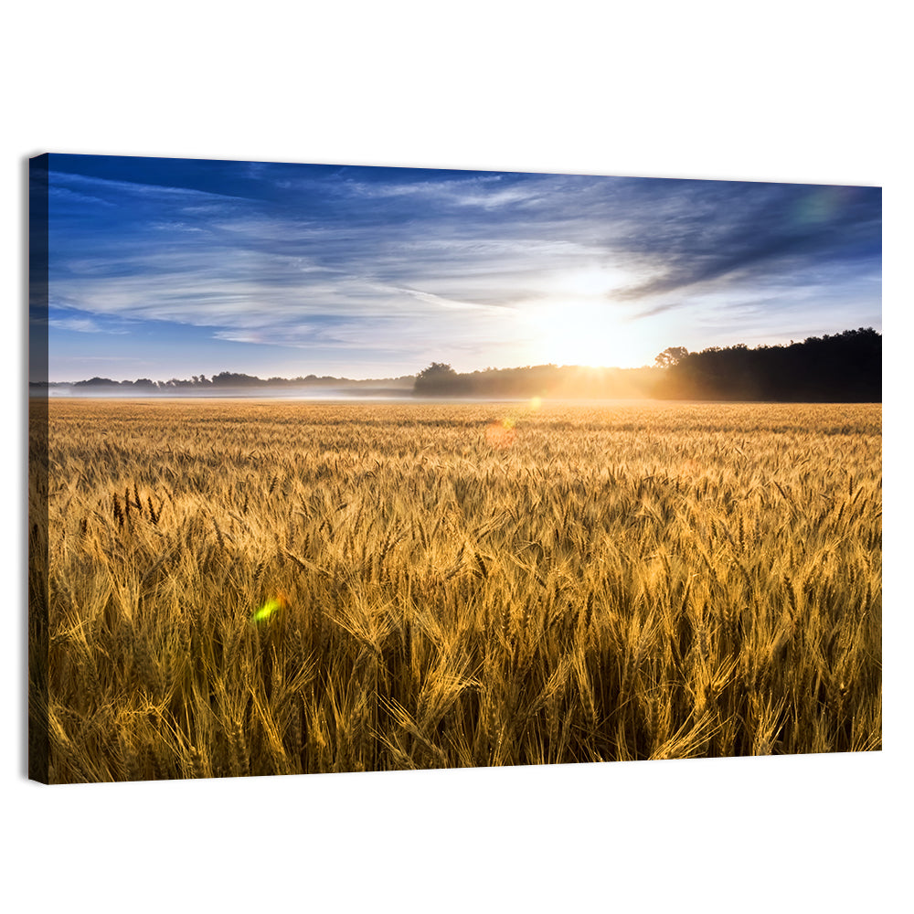 Golden Hour Wheat Field Wall Art, canvas print, landscape