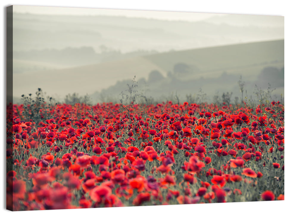 Red Poppy Field Wall Art, canvas print, landscape